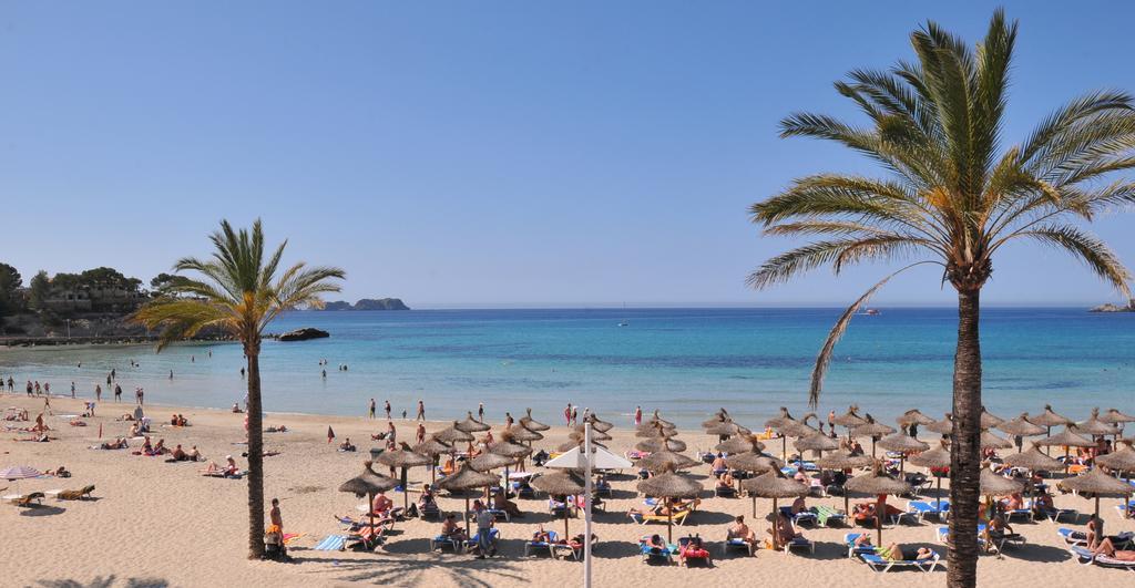 Olimarotel Paguera Park Παγκουέρα Εξωτερικό φωτογραφία